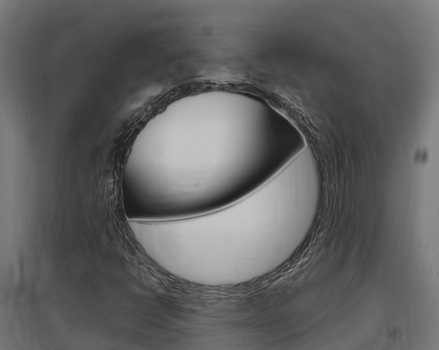 X0000097631398200802290833