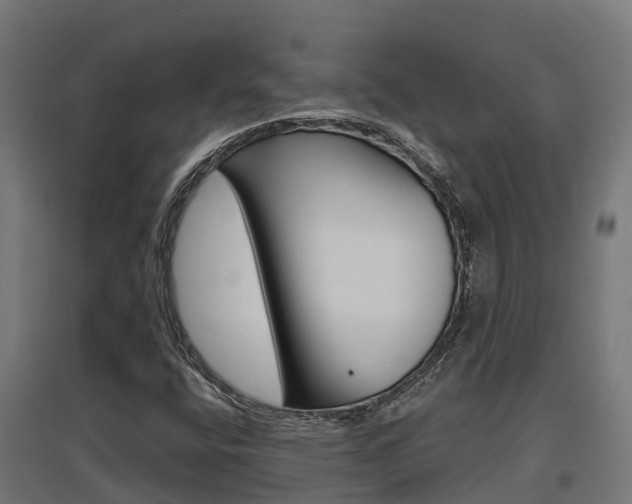 X0000097631400200802290833