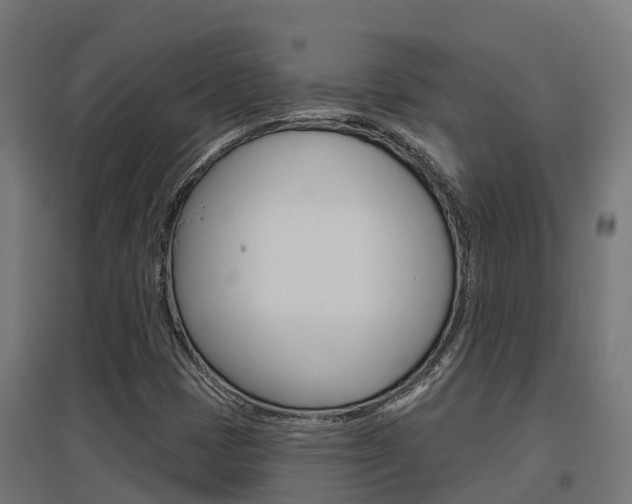 X0000097631401200802290833