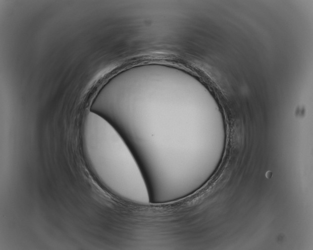 X0000097631402200802290833