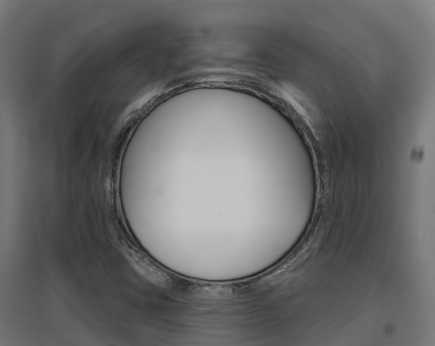 X0000097631403200802290833