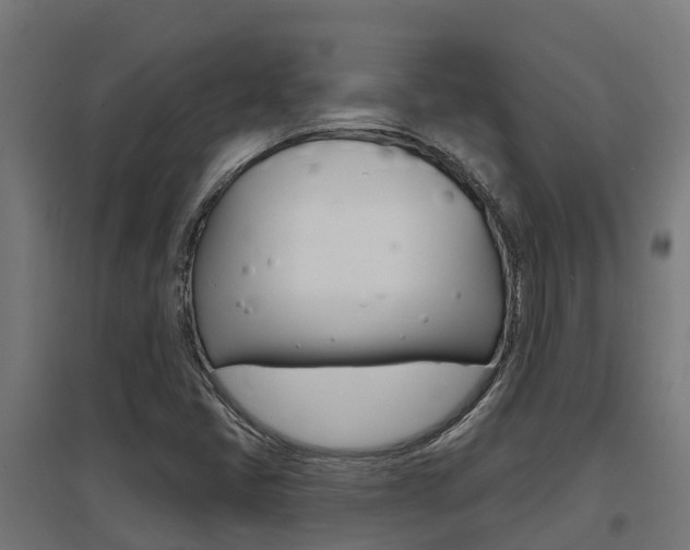 X0000097631405200802290833