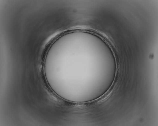 X0000097631406200802290833