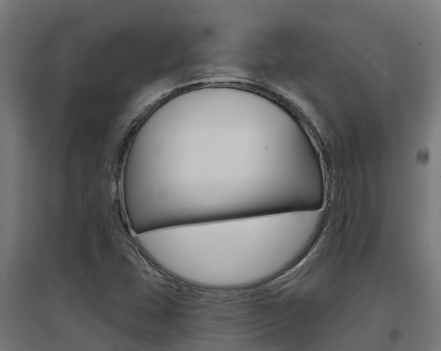 X0000097631407200802290833