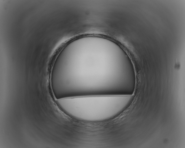 X0000097631408200802290833