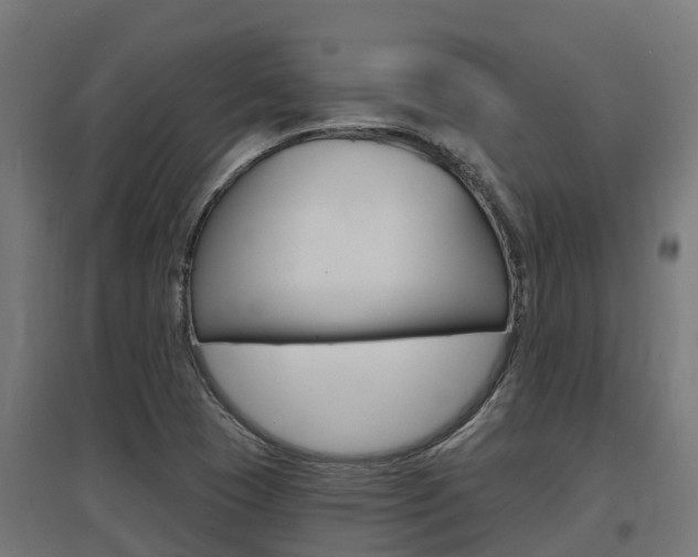 X0000097631409200802290833
