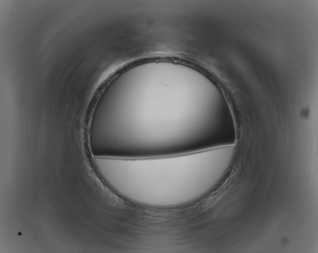 X0000097631412200802290833