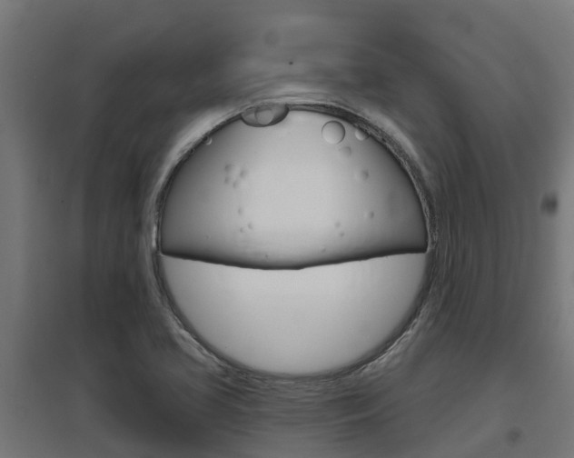 X0000097631413200802290833