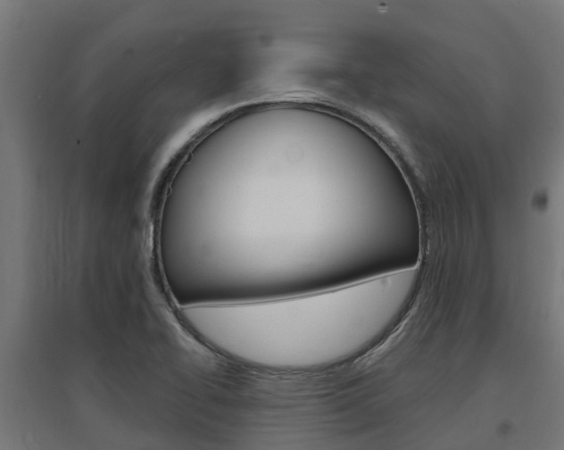 X0000097631414200802290833