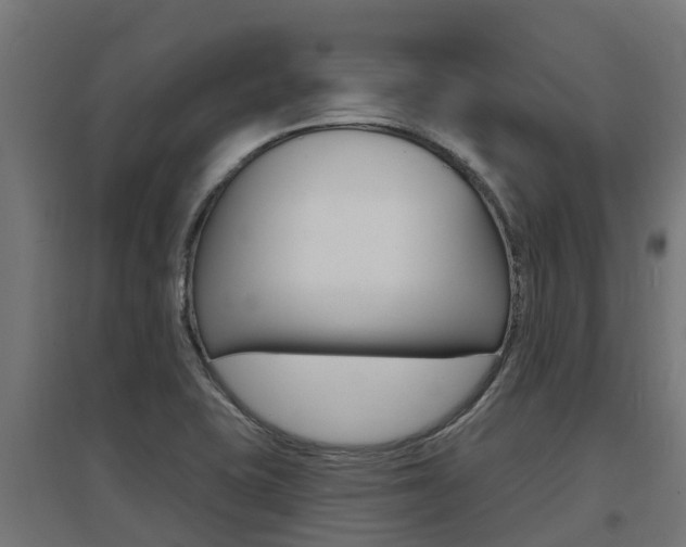 X0000097631415200802290833