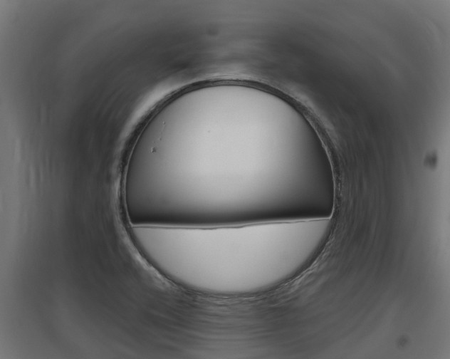 X0000097631416200802290833
