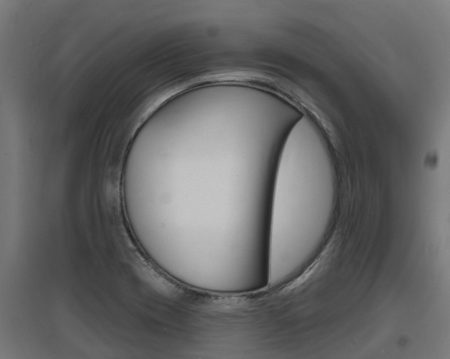 X0000097631417200802290833
