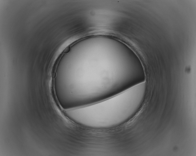 X0000097631418200802290833