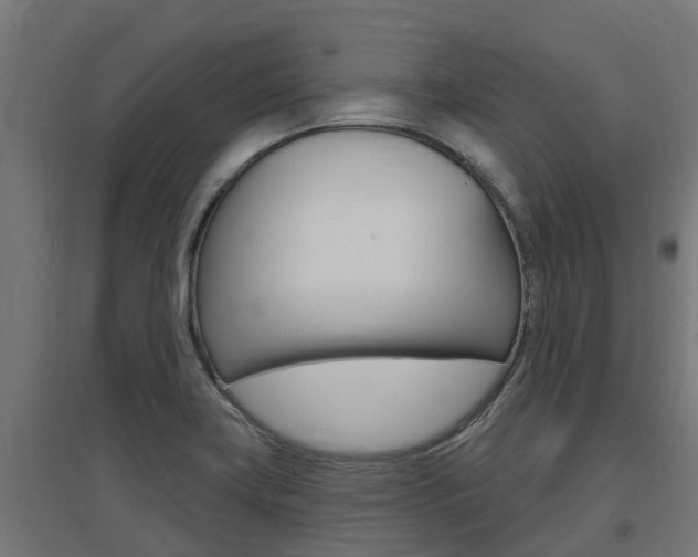 X0000097631419200802290833