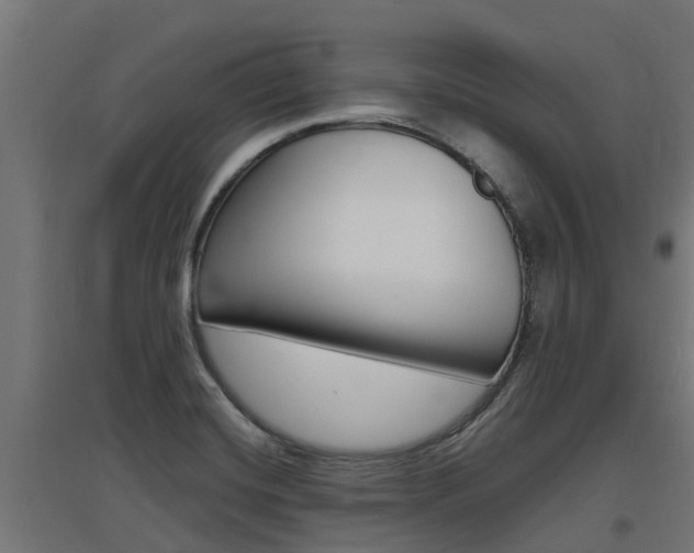 X0000097631420200802290833