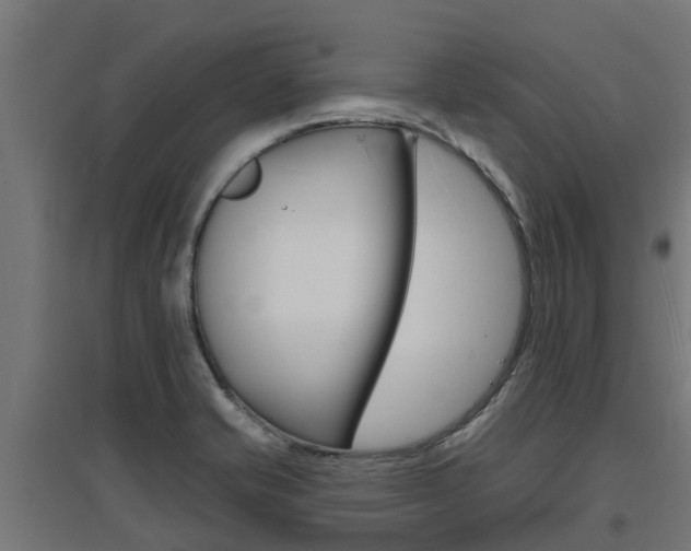 X0000097631421200802290833