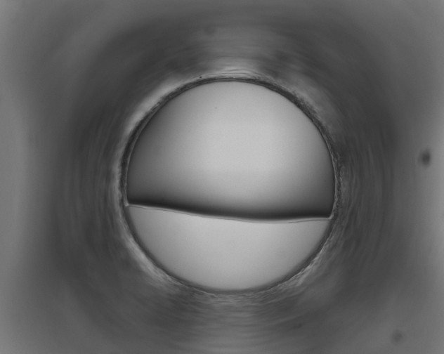 X0000097631422200802290833