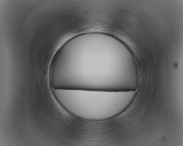 X0000097631423200802290833