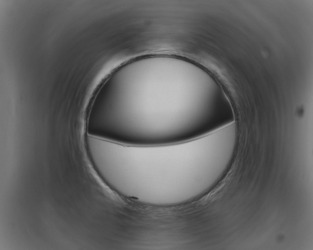 X0000097631424200802290833