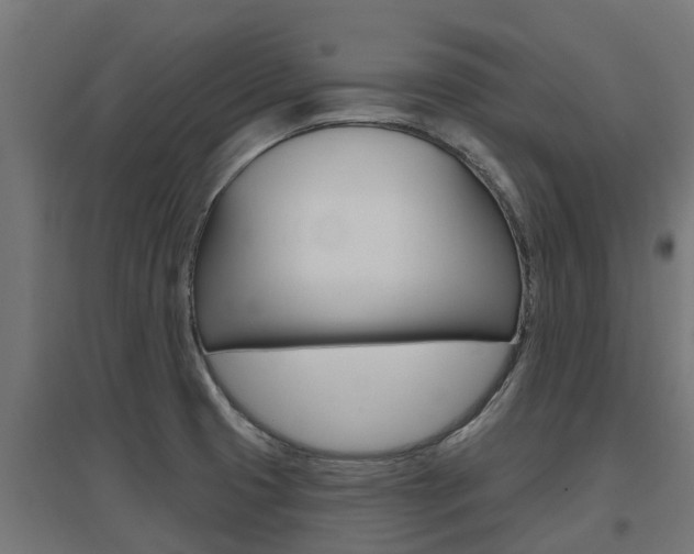 X0000097631425200802290833