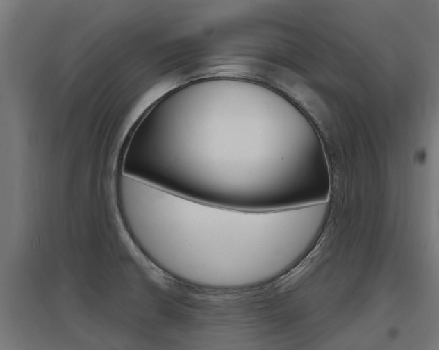 X0000097631426200802290833