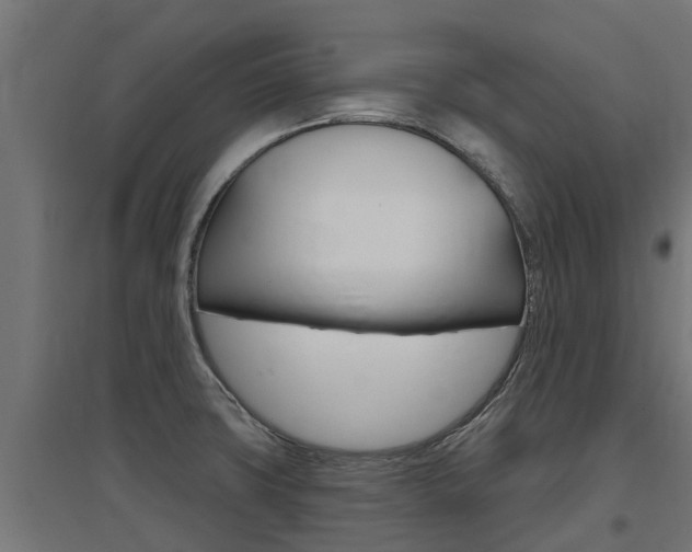 X0000097631427200802290833