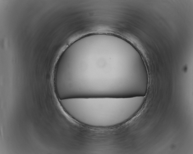 X0000097631429200802290833