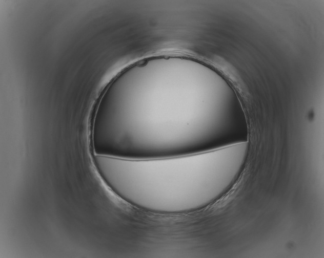 X0000097631430200802290833