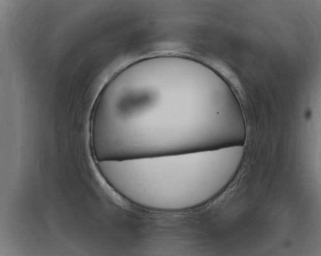 X0000097631431200802290833