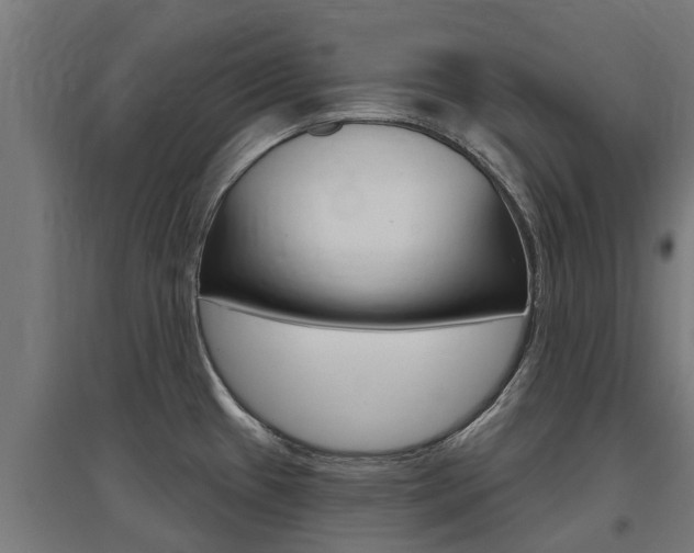 X0000097631433200802290833