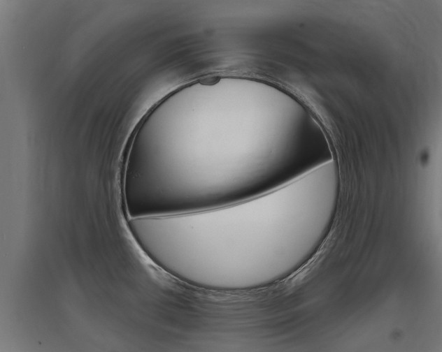 X0000097631434200802290833