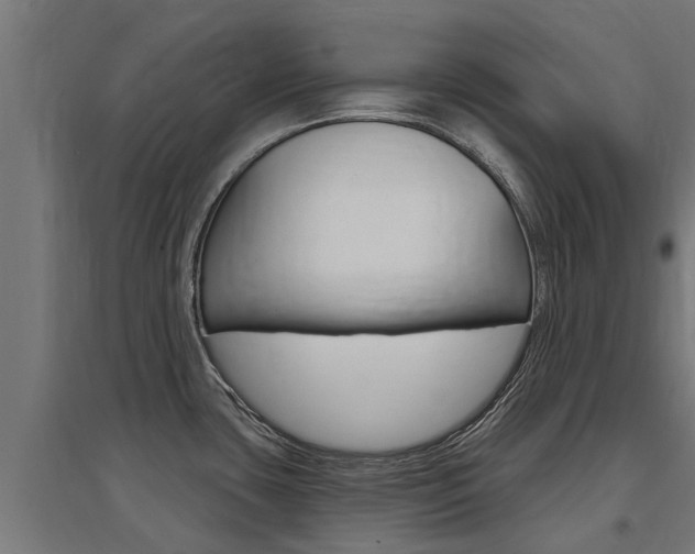 X0000097631435200802290833