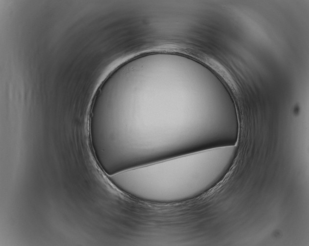 X0000097631436200802290833