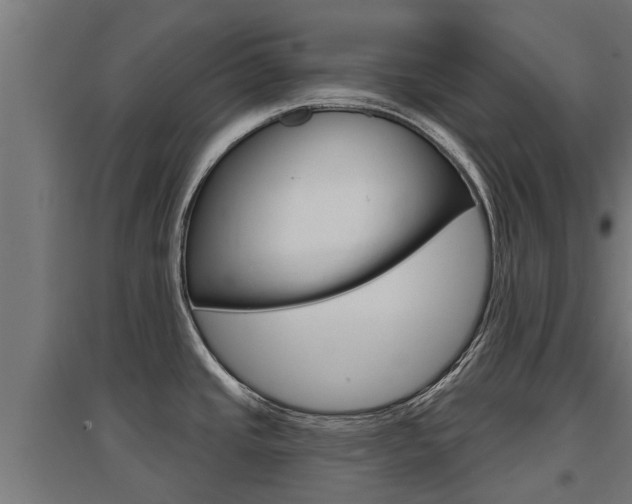 X0000097631437200802290833