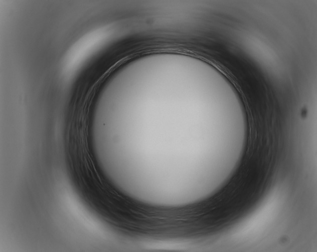 X0000097631438200802290833