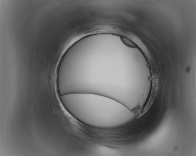 X0000097631439200802290833