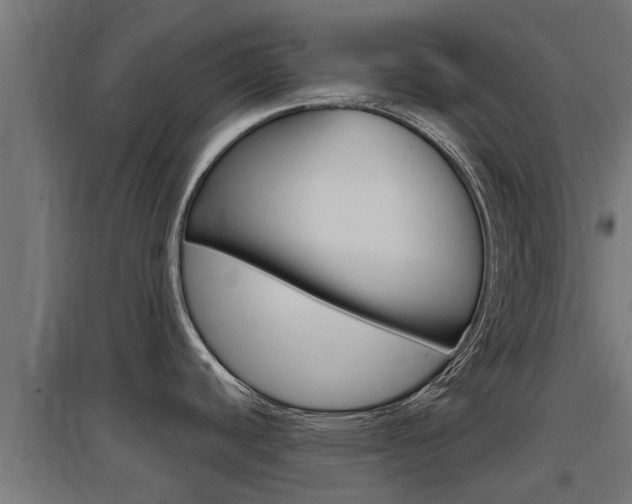 X0000097631440200802290833