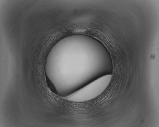 X0000097631441200802290833