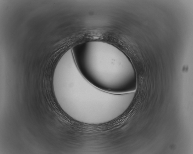 X0000097631442200802290832