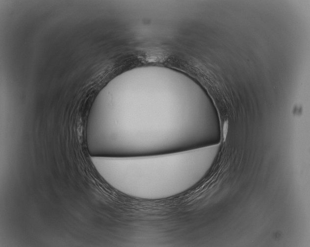 X0000097631443200802290832