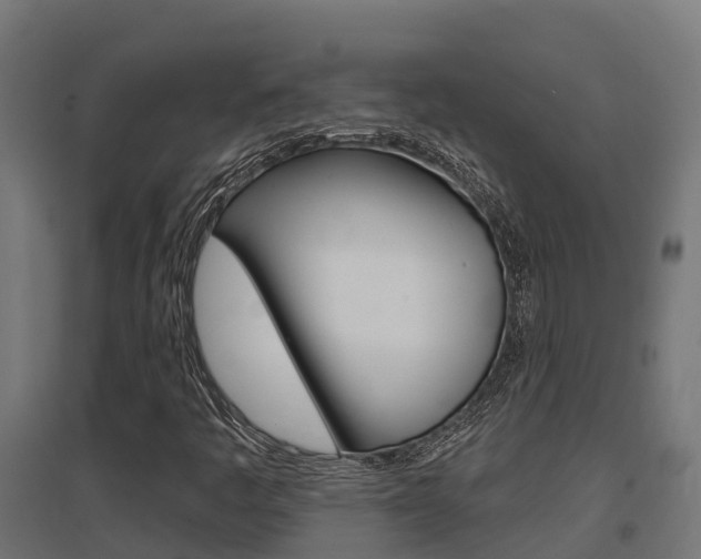 X0000097631445200802290832