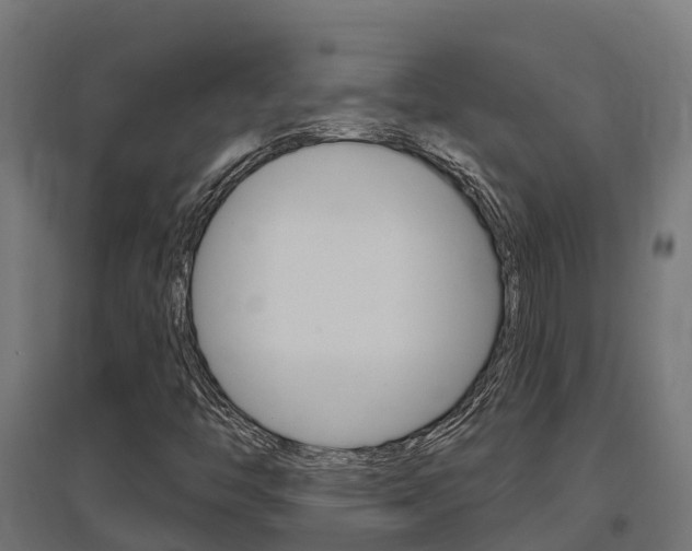 X0000097631446200802290832