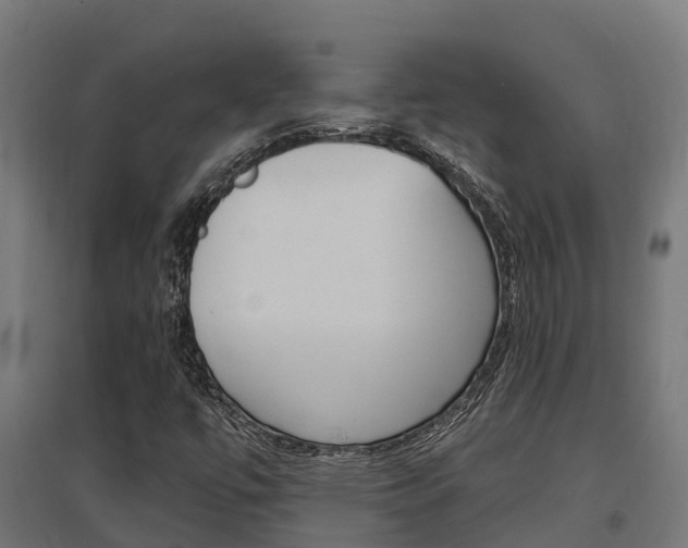X0000097631447200802290832