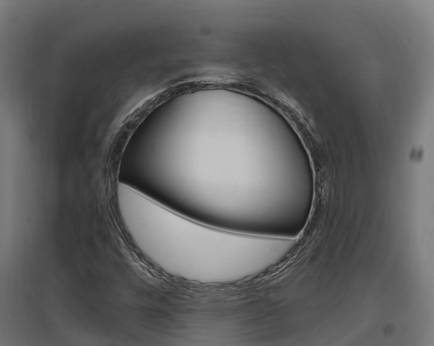 X0000097631448200802290832