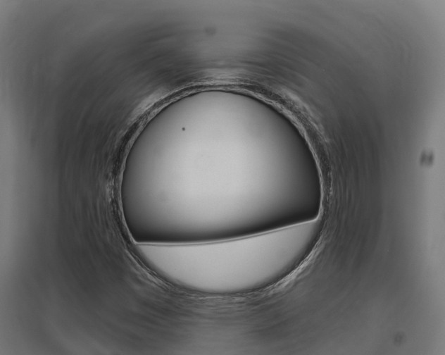 X0000097631449200802290832