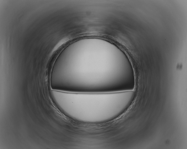 X0000097631450200802290832