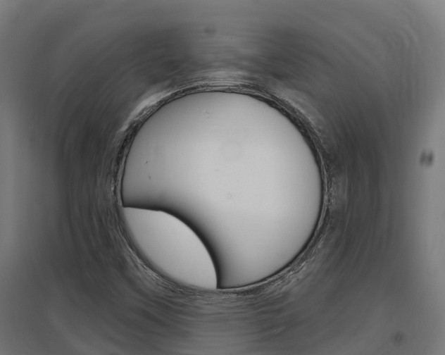 X0000097631451200802290832