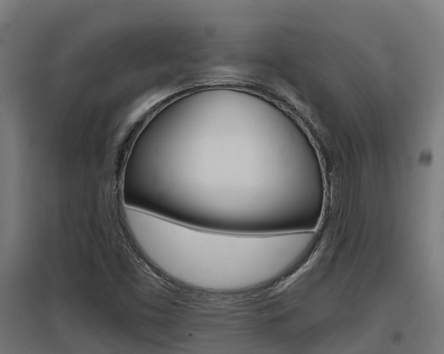 X0000097631453200802290832