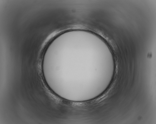 X0000097631454200802290832