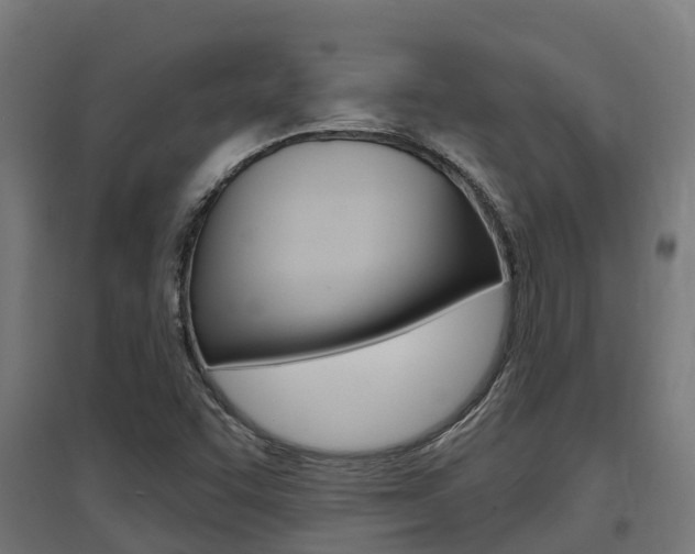 X0000097631455200802290832